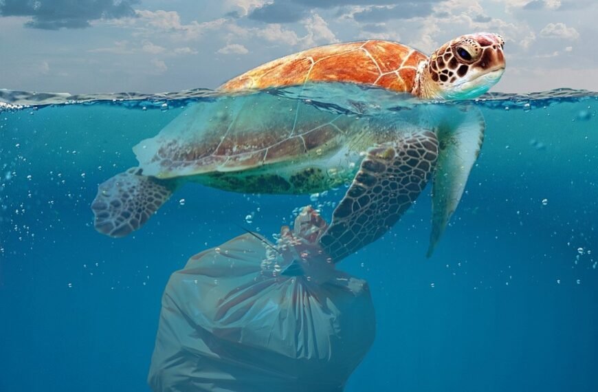 environmental, disaster, pollution