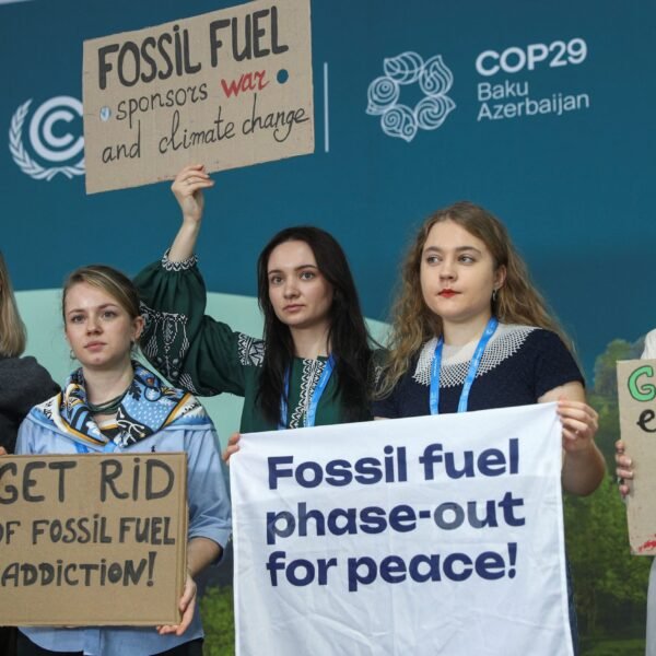 The Paramountcy of COP29: Catalyzing Global Climate Resilience