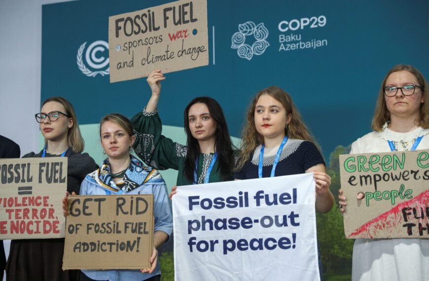 The Paramountcy of COP29: Catalyzing Global Climate Resilience